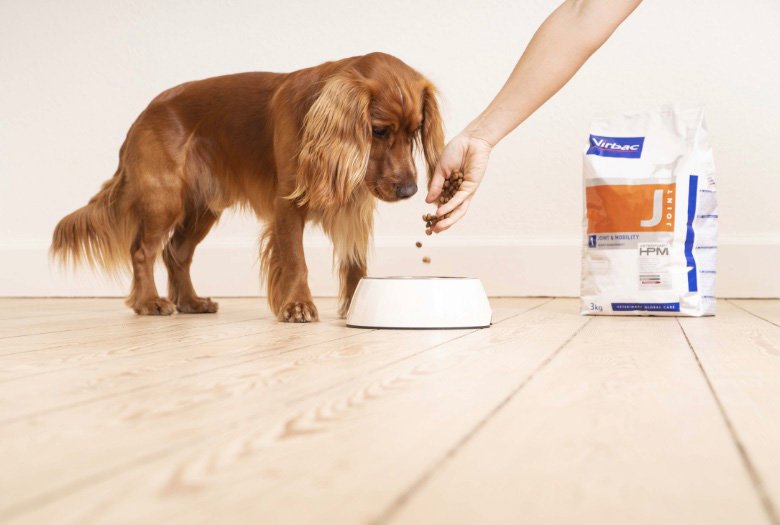 Pet Nutrition Image 2